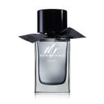 Burberry Mr Burberry Indigo EDT 100ml