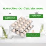 Công dụng của Viên uống chống rụng tóc Arkopharma Forcapil dùng như thế nào