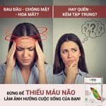 Đối Tượng Sử Dụng Viên Uống Bổ Não ArkoPharma Arkofluides Ginkgo Biloba Chính hãng