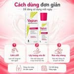 Dung Dịch Vệ Sinh Phụ Nữ Vagisan Intimwaschlotion Cách Dùng