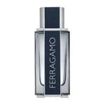 Salvatore Ferragamo Ferragamo For Men