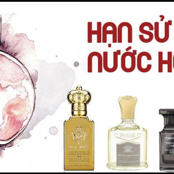 Hạn Sử Dụng Nước Hoa: 3 Cách Nhận Biết & Mẹo Bảo Quản Chuẩn