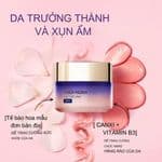 Kem Dưỡng Chống Lão Hóa Ban Đêm Loreal Age Perfect
