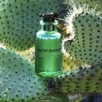 Cactus Garden