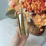 Aoud Leather