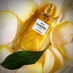 Chanel No 5 Parfum
