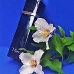 Nước Hoa Dior Addict Eau De Parfum