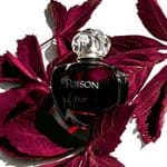 Nước Hoa Dior Poison Eau De Toilette