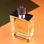 Terre D'Hermes Eau Intense Vetiver