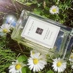 Nước Hoa Jo Malone Honeysuckle & Davana