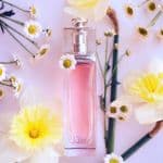 Nước Hoa Nữ Dior Addict Eau Fraiche
