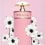 Prada Candy Florale