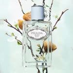 Prada Infusion D'iris