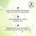 NUXE Nuxuriance Ultra The Global Anti-Aging Cream