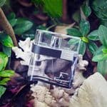 Salvatore Ferragamo F by Ferragamo Black