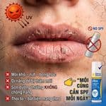 Son Dưỡng Chống Nắng Cancer Council Ultra Lip Balm SPF50+ Hiệu Quả