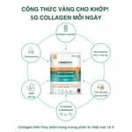 thanh-phan-granions-chondrosteo-joints-marine-collagen-dang-bot