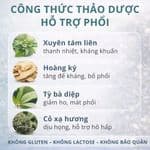 Viên Uống Thải Độc Phổi Vitatree Lung Detox Hỗ Trợ Hệ Hô Hấp Thành Phần