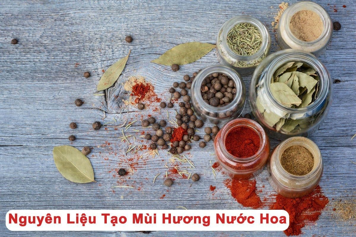 11 Nhóm Mùi Hương Nước Hoa & Nguyên Liệu Điều Chế Phổ Biến